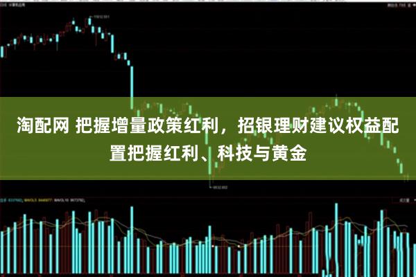 淘配网 把握增量政策红利，招银理财建议权益配置把握红利、科技与黄金