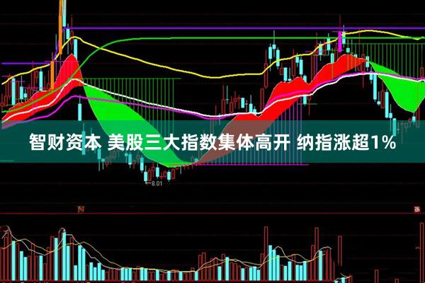 智财资本 美股三大指数集体高开 纳指涨超1%