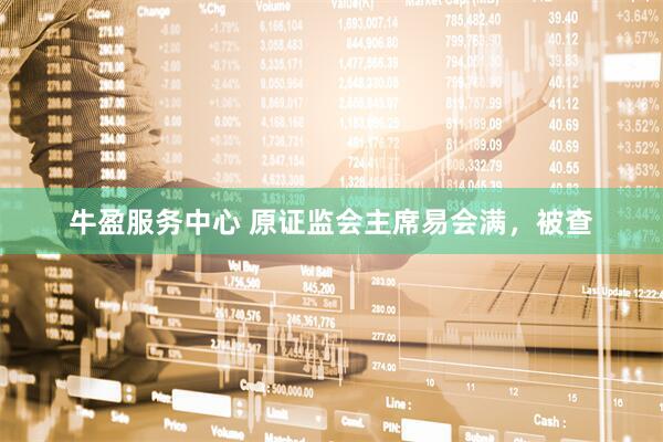 牛盈服务中心 原证监会主席易会满，被查