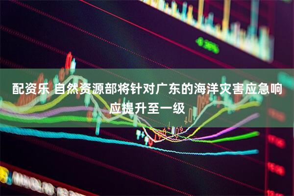 配资乐 自然资源部将针对广东的海洋灾害应急响应提升至一级