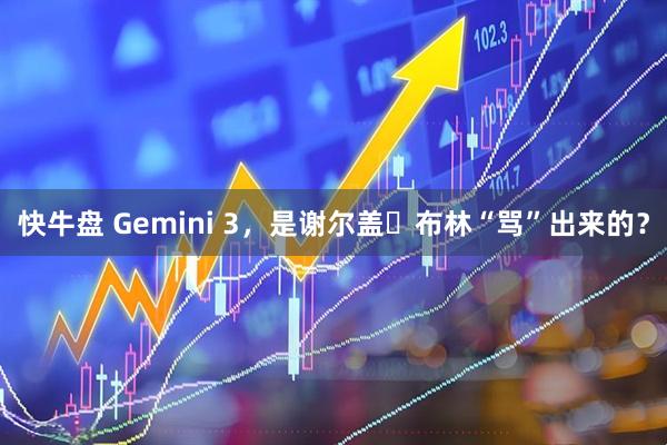 快牛盘 Gemini 3，是谢尔盖・布林“骂”出来的？