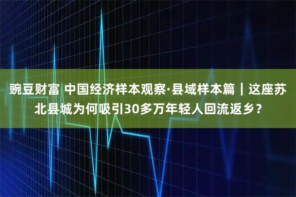 豌豆财富 中国经济样本观察·县域样本篇｜这座苏北县城为何吸引30多万年轻人回流返乡？