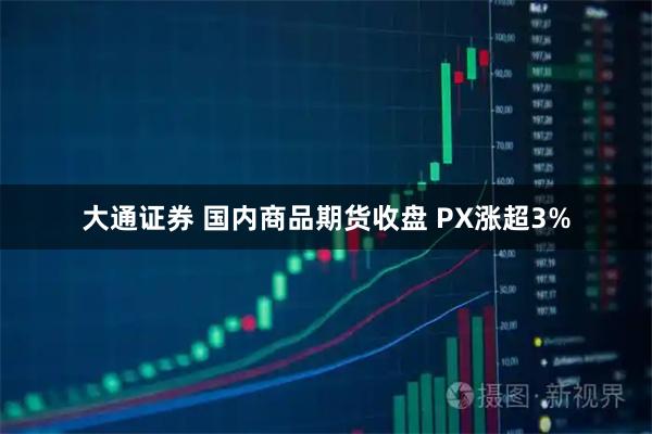 大通证券 国内商品期货收盘 PX涨超3%