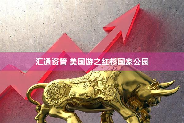 汇通资管 美国游之红杉国家公园